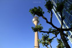 duesseldorf-medienhafen-rheinturm-066