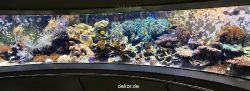 duesseldorf-aquazoo-panorama-001