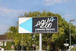 duesseldorf-aquazoo-001