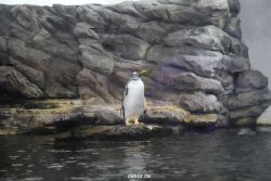 duesseldorf-aquazoo-005