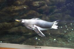 duesseldorf-aquazoo-006