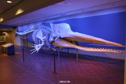 duesseldorf-aquazoo-013