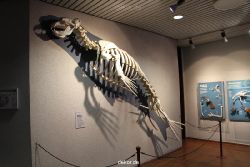 duesseldorf-aquazoo-014