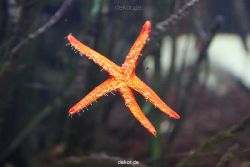 duesseldorf-aquazoo-031