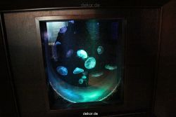 duesseldorf-aquazoo-036