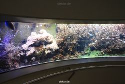 duesseldorf-aquazoo-050