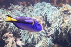 duesseldorf-aquazoo-052
