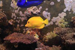 duesseldorf-aquazoo-053