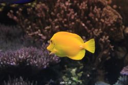 duesseldorf-aquazoo-054