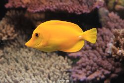 duesseldorf-aquazoo-059