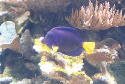 duesseldorf-aquazoo-060
