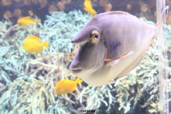 duesseldorf-aquazoo-061
