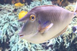 duesseldorf-aquazoo-062