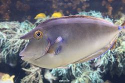 duesseldorf-aquazoo-063