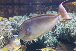 duesseldorf-aquazoo-064
