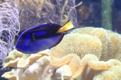 duesseldorf-aquazoo-066
