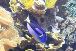 duesseldorf-aquazoo-068