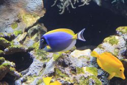 duesseldorf-aquazoo-071