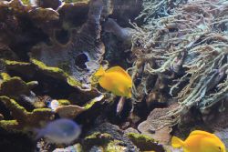 duesseldorf-aquazoo-073