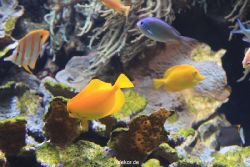 duesseldorf-aquazoo-074