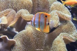 duesseldorf-aquazoo-075