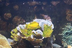 duesseldorf-aquazoo-076