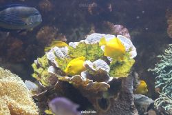 duesseldorf-aquazoo-078