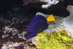 duesseldorf-aquazoo-079