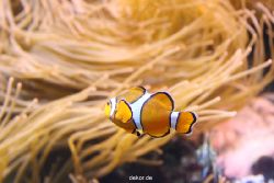 duesseldorf-aquazoo-081