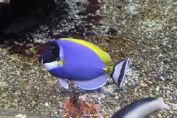 duesseldorf-aquazoo-085