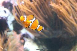 duesseldorf-aquazoo-088