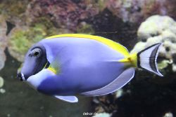 duesseldorf-aquazoo-090