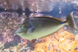 duesseldorf-aquazoo-094