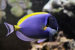 duesseldorf-aquazoo-098