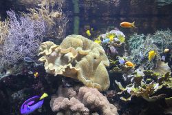 duesseldorf-aquazoo-104