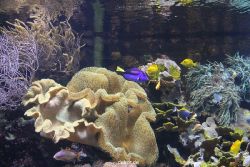 duesseldorf-aquazoo-106