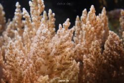 duesseldorf-aquazoo-108