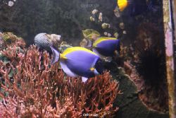 duesseldorf-aquazoo-109