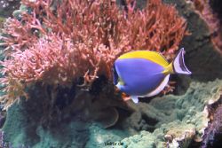 duesseldorf-aquazoo-110