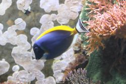 duesseldorf-aquazoo-112