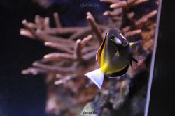 duesseldorf-aquazoo-131