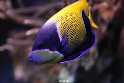 duesseldorf-aquazoo-133
