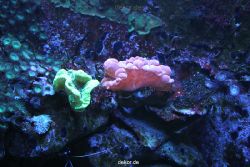 duesseldorf-aquazoo-152