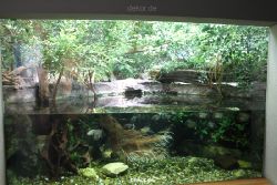 duesseldorf-aquazoo-158