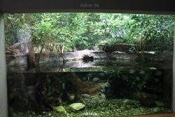 duesseldorf-aquazoo-159