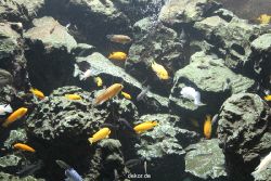 duesseldorf-aquazoo-164