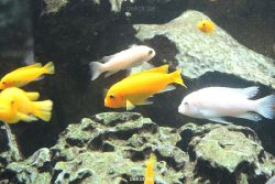 duesseldorf-aquazoo-165
