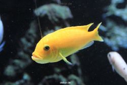 duesseldorf-aquazoo-167