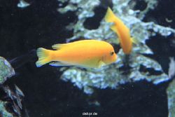 duesseldorf-aquazoo-169