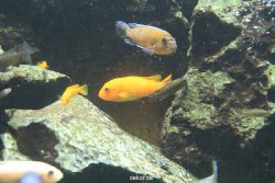 duesseldorf-aquazoo-170